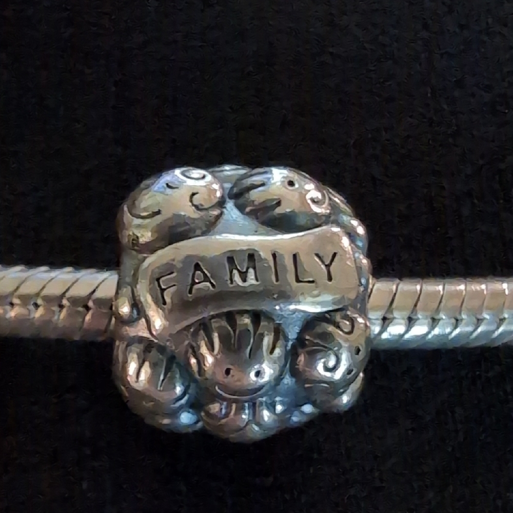 Pandora Silver Family Charm